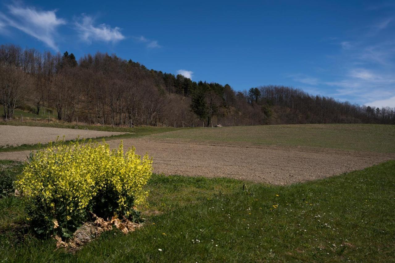 028 - Agriturismo "Il Boschetto" Con Piscina, Pace E Natura - Camera Familiare Cavizzano 외부 사진