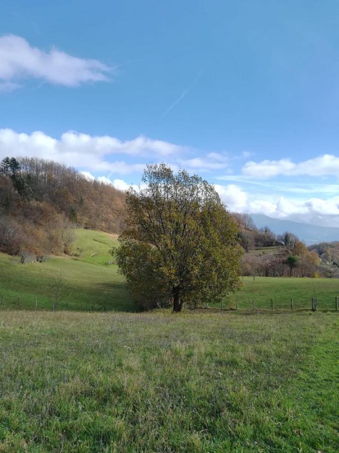 028 - Agriturismo "Il Boschetto" Con Piscina, Pace E Natura - Camera Familiare Cavizzano 외부 사진