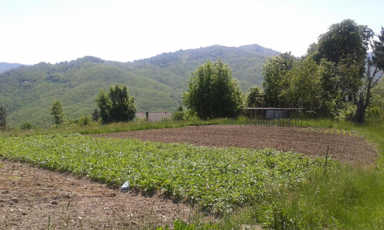 028 - Agriturismo "Il Boschetto" Con Piscina, Pace E Natura - Camera Familiare Cavizzano 외부 사진