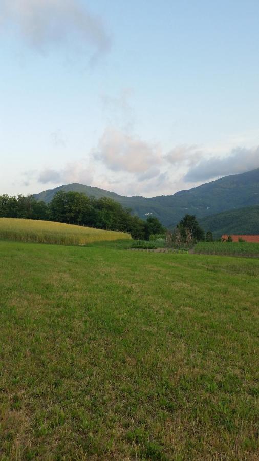 028 - Agriturismo "Il Boschetto" Con Piscina, Pace E Natura - Camera Familiare Cavizzano 외부 사진